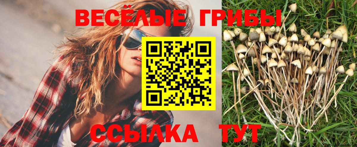 Галлюциногенные грибы GOLDEN TEACHER Шумерля